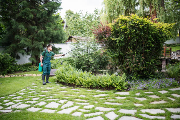 Best Best Pest Control Companies  in Conway, FL