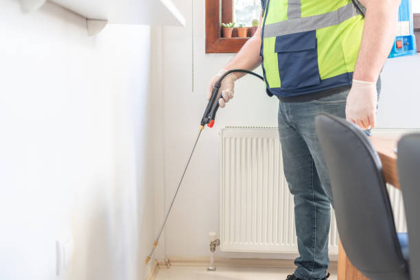 Best Emergency Pest Control  in Conway, FL