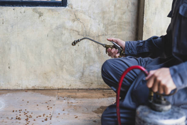 Best Residential Pest Control  in Conway, FL